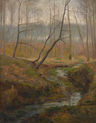 Rivière en forêt