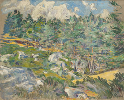 Paysage ensoleillé