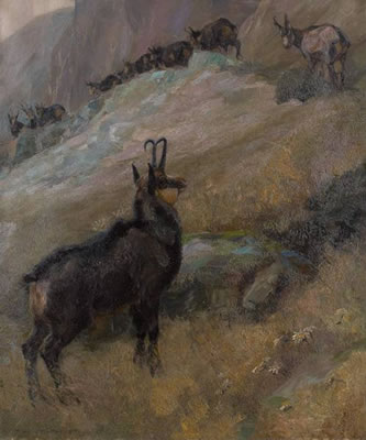 Les chamois en montagne.