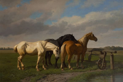 Chevaux dans la prairie