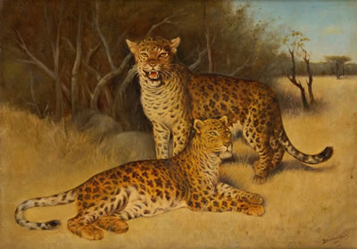Couple de léopards