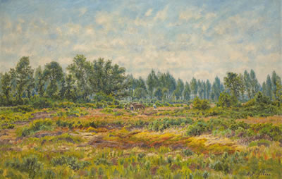 Paysage ensoleillé