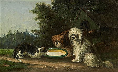 Extérieur avec chiens