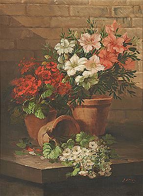 Les fleurs en pot