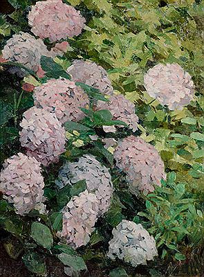 Les hortensias