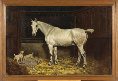 Cheval blanc et deux chiens à l'écurie