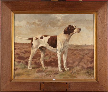 Portrait du chien Bendigo