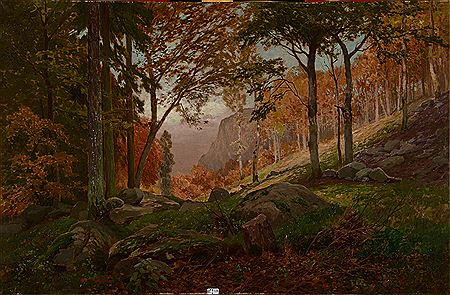 Rochers en forêt