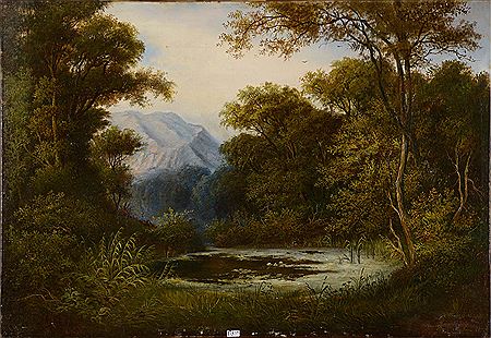 "Etang en forêt