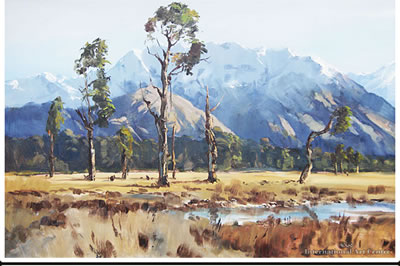 Omeoeroa River near Franz Josef, Westland