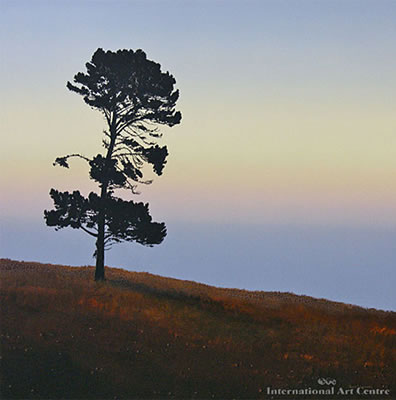 Lone Pine, Manukau Heads by Peter J Wallers - Auction record, sale price, and art valuation. Compare with similar artists and explore comparable artworks.