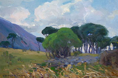 At Palliser Bay
