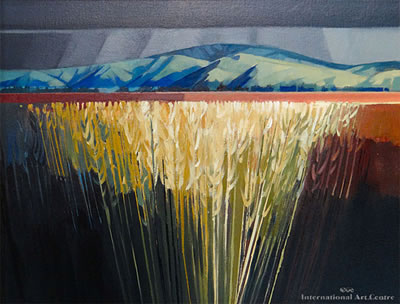 Wheatfields, Wairau Valley, Marlborough