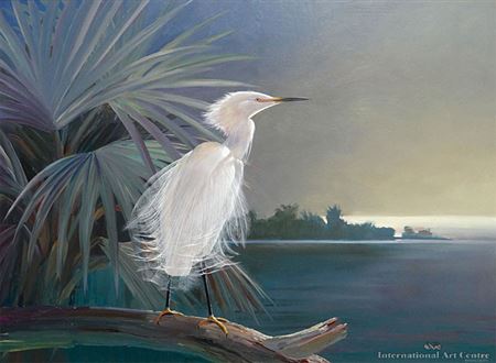 Egret and Native Palm