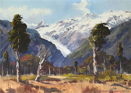 Fox Glacier, Westland