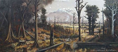 Bush Clearing, Mt Egmont