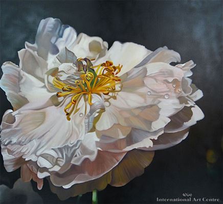 Over Blown Peony