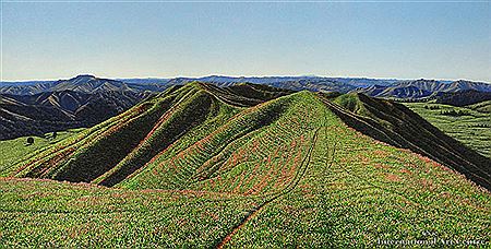 Ridgeline, King Country