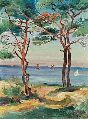 Dünenlandschaft