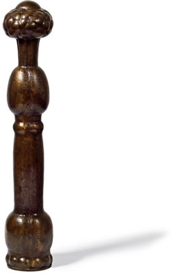 Phallus eruptiv