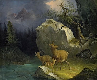 Rehe am Gebirgsbach