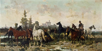 Pferde auf der Weide