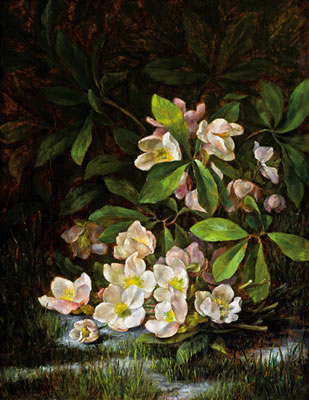 Schneerosen by Paula Wildhack - Auction record, sale price, and art valuation. Compare with similar artists and explore comparable artworks.