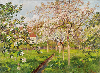 Apple and cherry blossom
