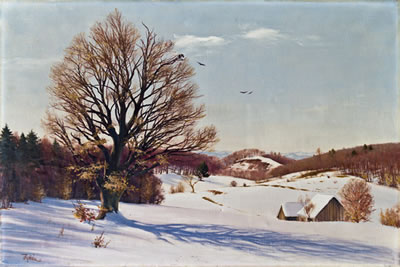 Schneelandschaft