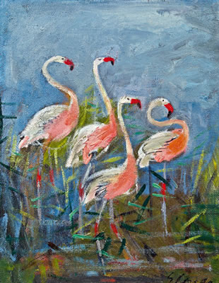 Flamingos
