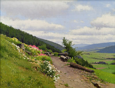 Landschaft mit blühender Wiese