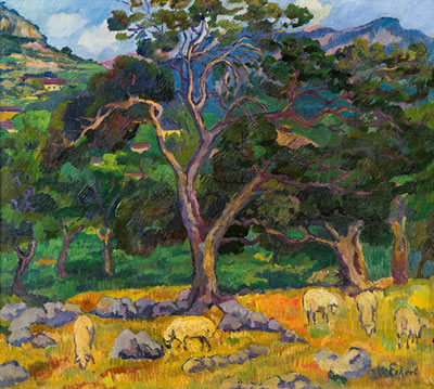 Landschaft in Pollencia (Mallorca)