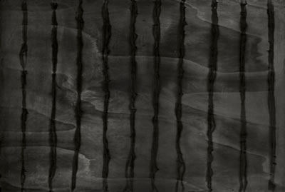 Untitled 2010 by Rudi Stanzel - Auction record, sale price, and art valuation. Compare with similar artists and explore comparable artworks.