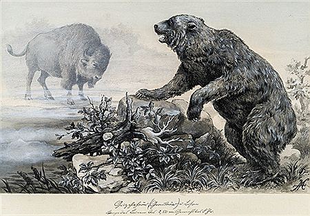 Konvolut: 6 Stk. Tierdarstellungen