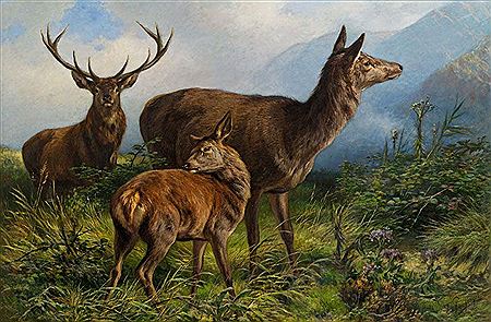 Hirsch mit Hirschkuh und Kalb