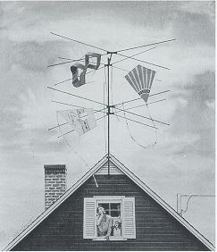 Kites caught in TV antenna