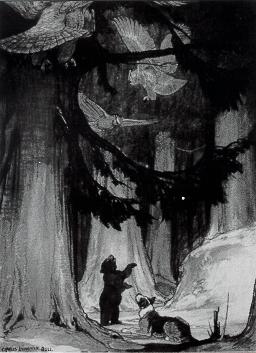 Bear cub and dog in dark woods