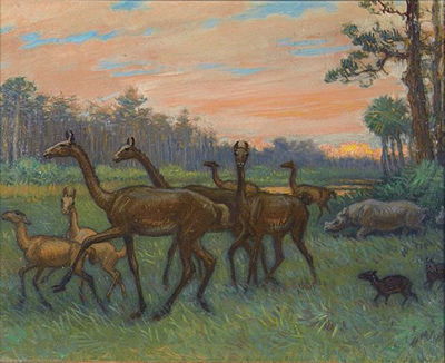 Sample artwork by Charles Robert Knight (1874 - 1953), known for animals in landscape painting-dinosaurs, sculpture - View similar artists and auction records