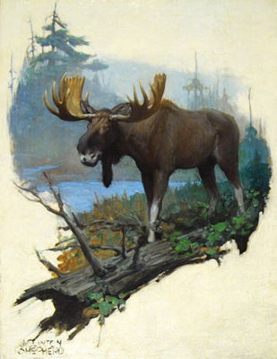 Illustration: Standing bull moose