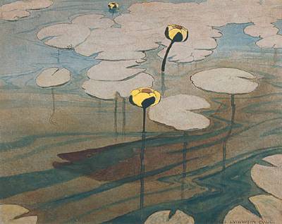 Water Lilies
