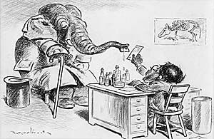 Monkey Doctor