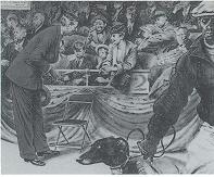 Crowd scene at a dog show