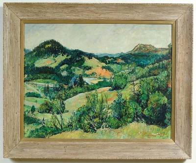 Santa Clara Hills