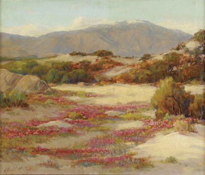 California Springtime Desert in Bloom