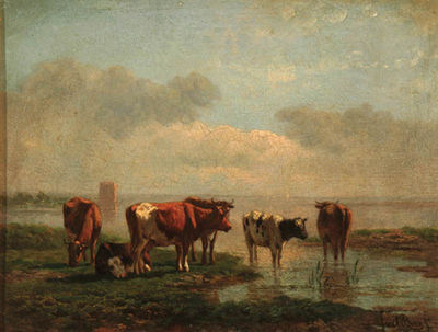 Grazing Cows