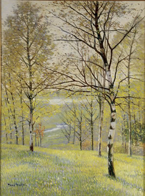 Spring Morning
