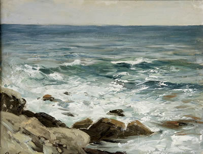 A Rocky Coastline