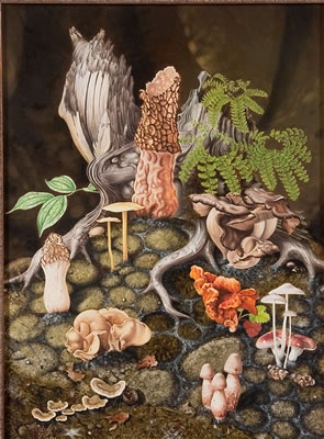 Root of the Matter - 1971 by William Bloom - Auction record, sale price, and art valuation. Compare with similar artists and explore comparable artworks.