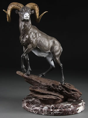 A BIG HORN SHEEP