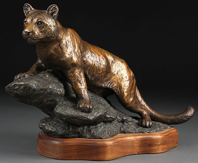 A MOUNTAIN LION